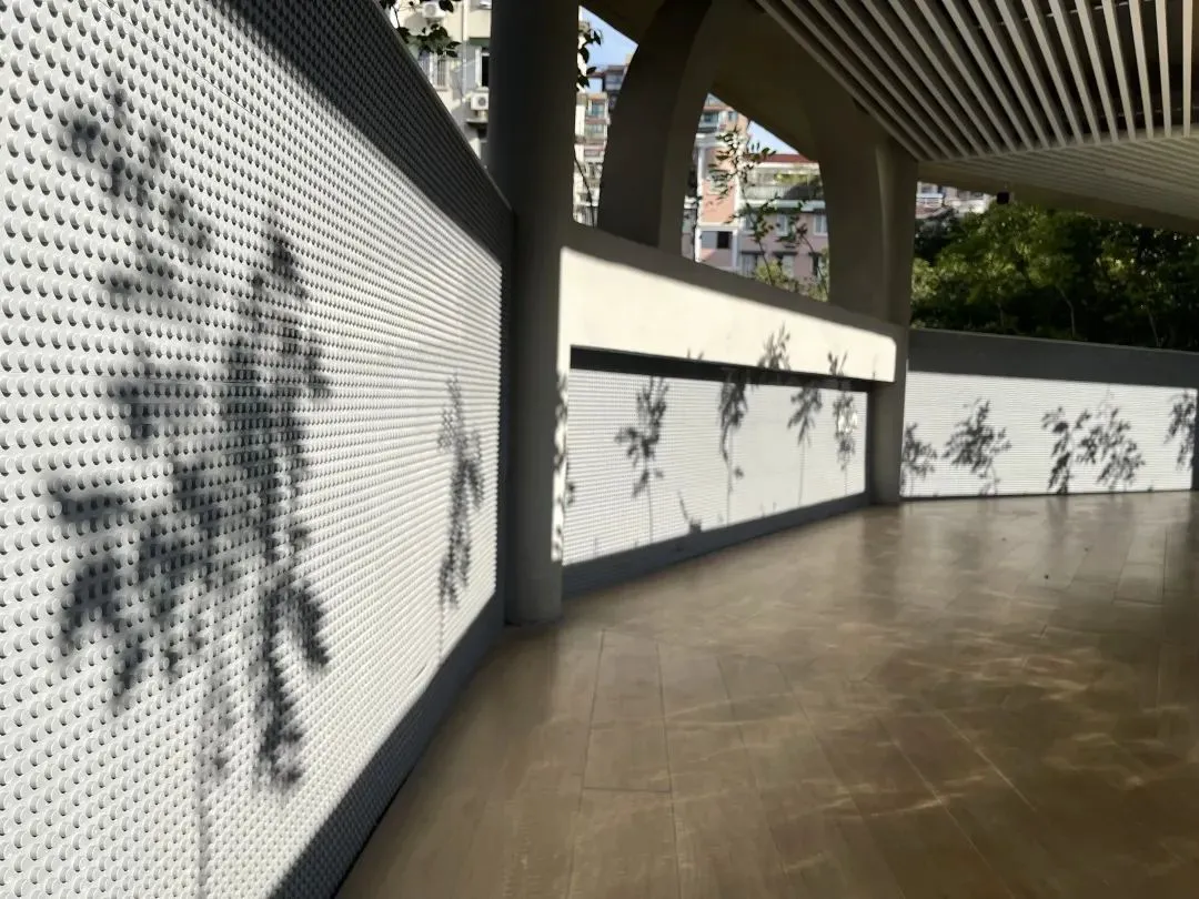 如何制定一个全面的篮球力量训练和发展计划?_2